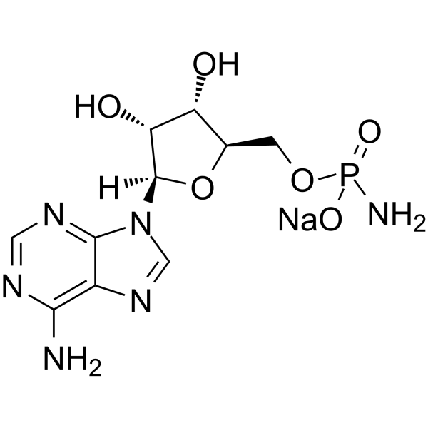 Adenosine 5′-monophosphoramidate sodium 102029-68-5
